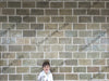 Natural Stone Cladding Slate Stone