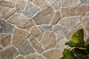 Rock Stone Wall Cladding